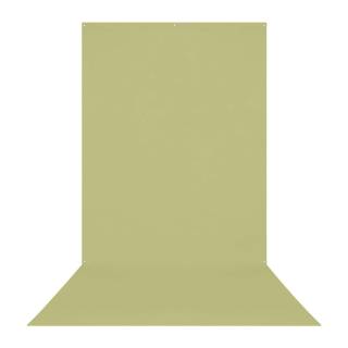 Westcott X-Drop Wrinkle-Resistant Backdrop, For Video Conferencing (Light Moss Green, 5 x 12 Feet)