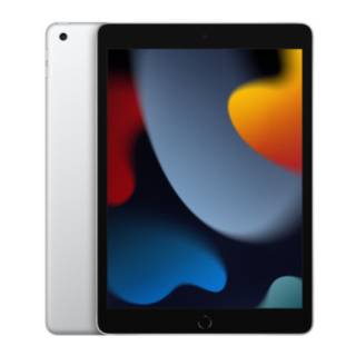 Apple 10.2-Inch iPad (9th Gen, 64GB, Wi-Fi Only, Silver)