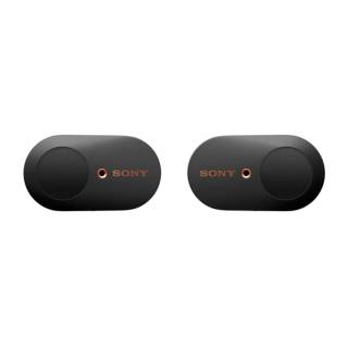 Sony Industry Leading True Wireless Noise Cancellation Earbud Headphones with Charging Case in Black