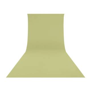 Westcott X-Drop Pro Wrinkle-Resistant, Machine-Washable Backdrop (Light Moss Green, 9 x 20 Feet)