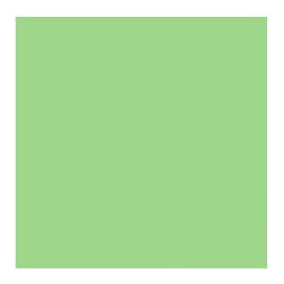 Savage Widetone Seamless Background Paper (#40 Mint Green, 26-Inch x 36-Feet)