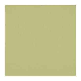 Westcott X-Drop Pro Wrinkle-Resistant Backdrop (Light Moss Green, 8 x 8 Feet)