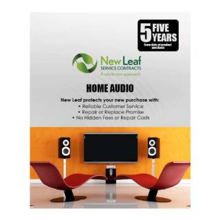 New Leaf 5 year  Audio Equipment under $4000