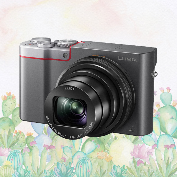 Panasonic Lumix ZS100 Digital Camera mothers day gift ideas