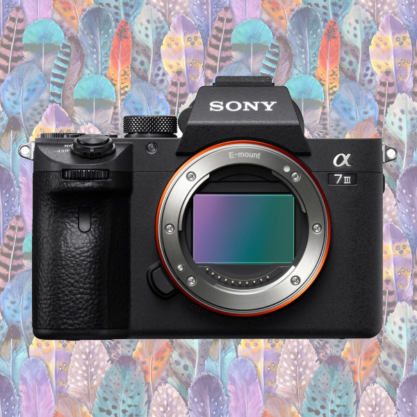 Sony Alpha a7 iii Mothers Day Gift Ideas