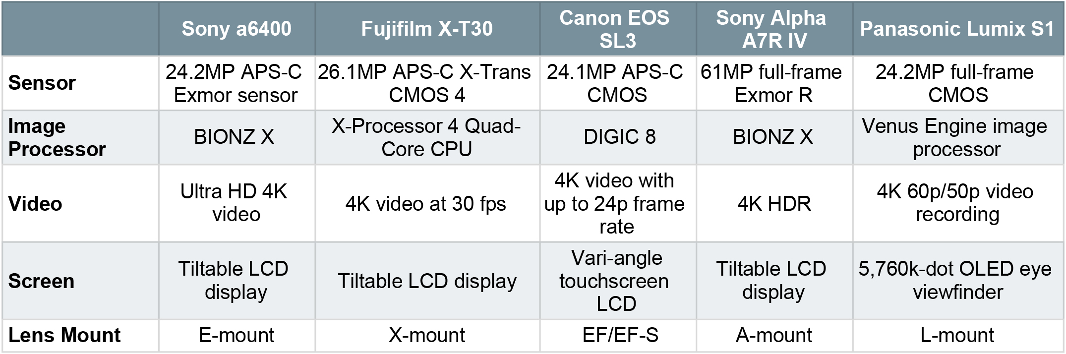 Interchangeable Lens Cameras Spreadsheet