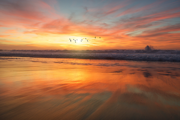 San Diego Sunrise by Frank McKenna