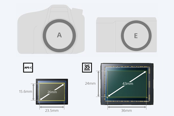 Graphic displaying the difference between A-mount and E-mount cameras and full-frame and APS-C sensors